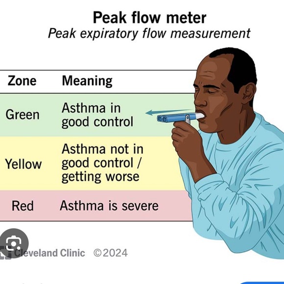 Airlife Asthma Check Peak Flow Meter #002068 Management Zone System (new) - Picture 2 of 2